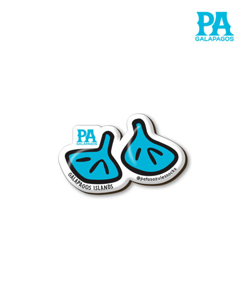 Imán encapsulado de patas azules de piquero con logo celeste