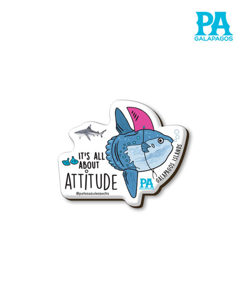 Imán Encapsulado De Pez Molas Con Frase It's All About Attitude