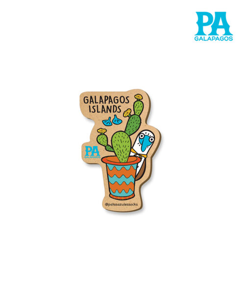 Imán mdf piquero de patas azules escondido detrás de opuntia