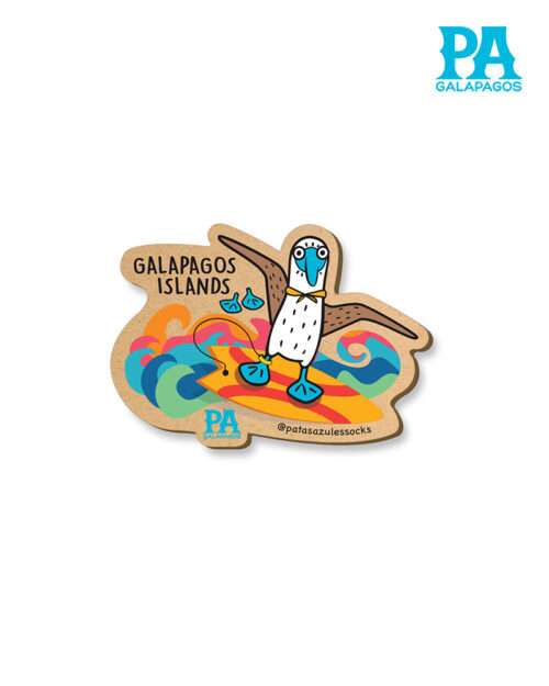 Imán mdf piquero de patas azules surfeando en Galápagos