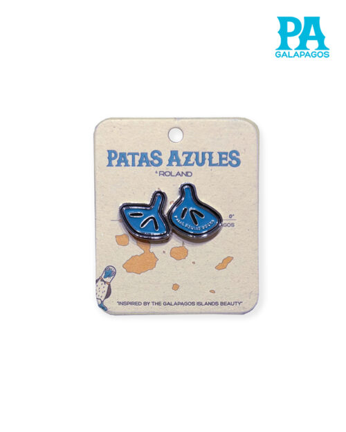 Pin Metálico Plateado De Patas Azules De Piquero