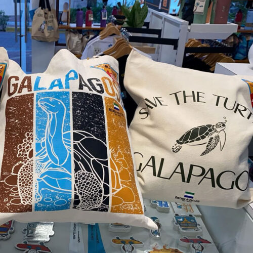 Bags & Totes